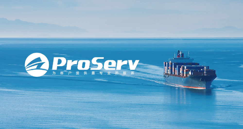 ProServ品牌LOGO视觉设计